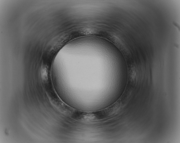 X0000103450214200809191756