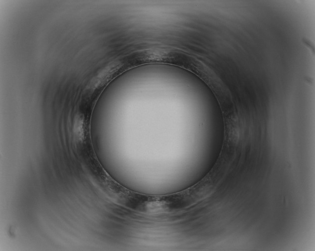 X0000103450216200809191756