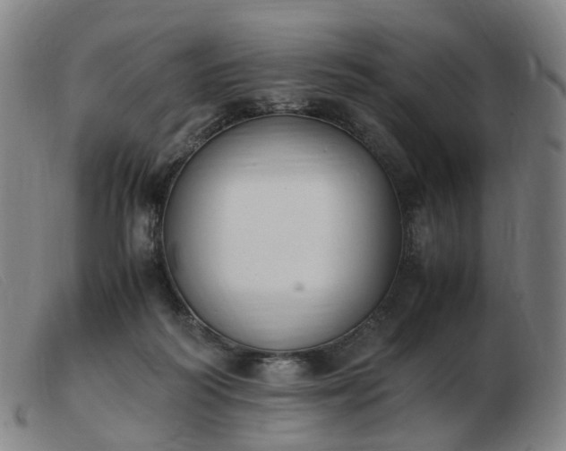 X0000103450218200809191756