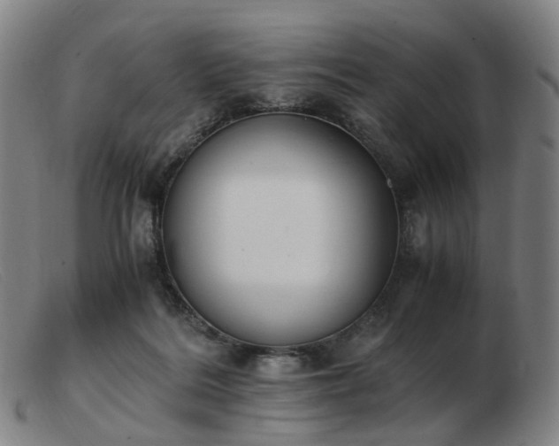 X0000103450220200809191756