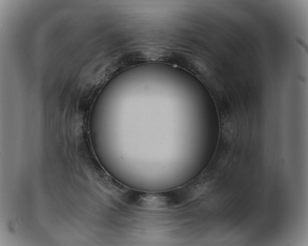 X0000103450221200809191756