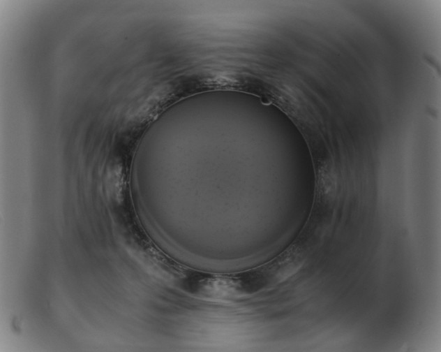 X0000103450223200809191756