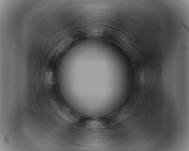 X0000103450224200809191756