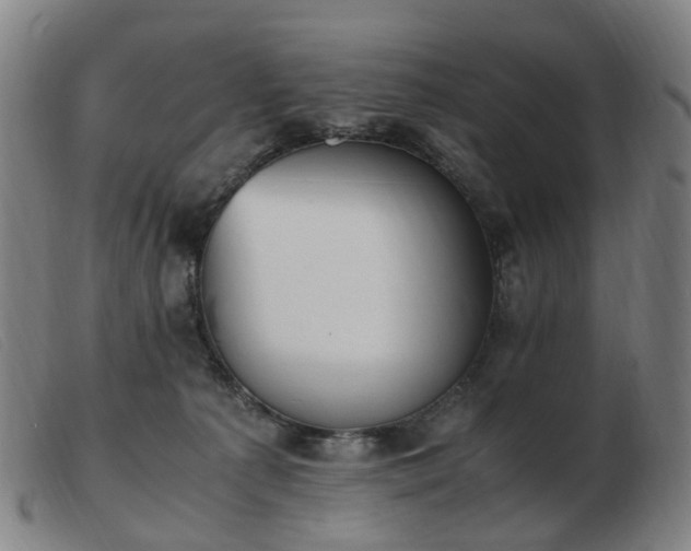 X0000103450225200809191756