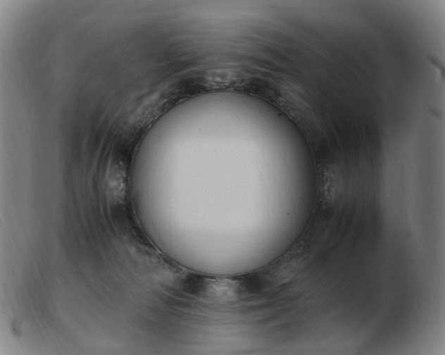X0000103450226200809191756