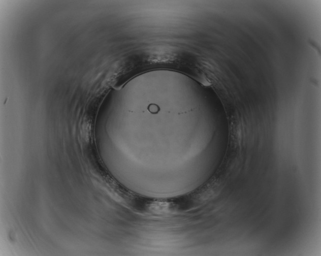 X0000103450227200809191756