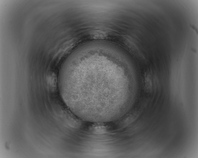 X0000103450228200809191756