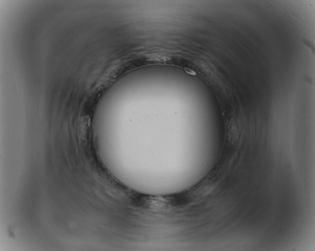 X0000103450229200809191756