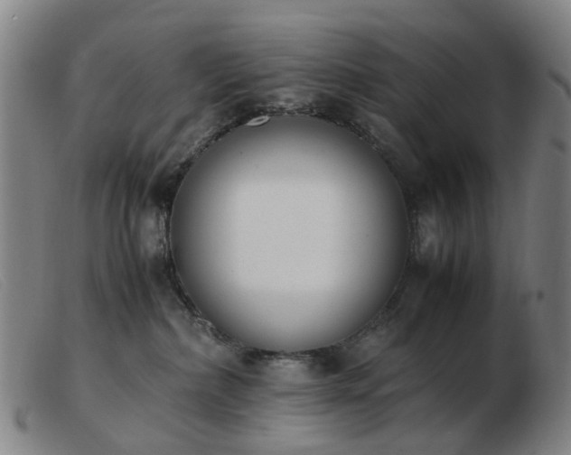 X0000103450236200809191756