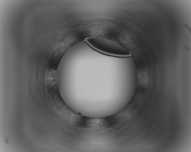 X0000103450237200809191756