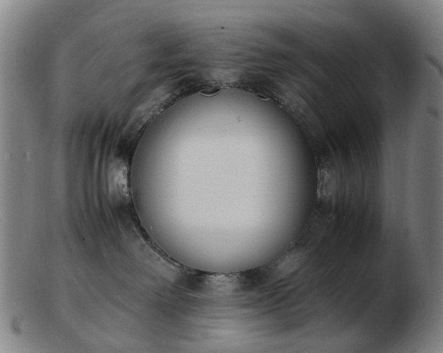 X0000103450238200809191756