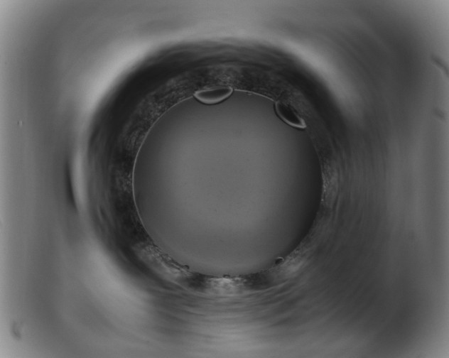 X0000103450239200809191756