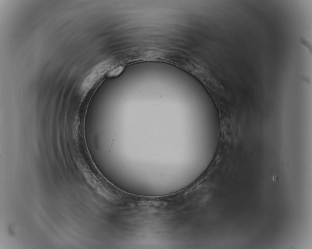 X0000103450242200809191755