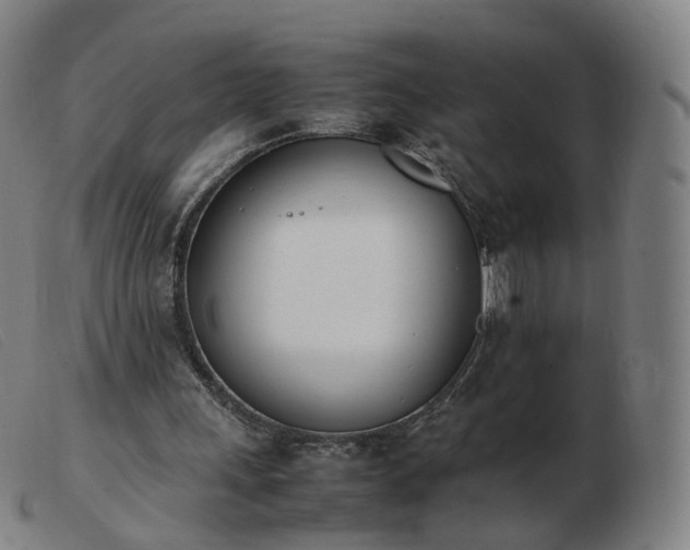 X0000103450243200809191755