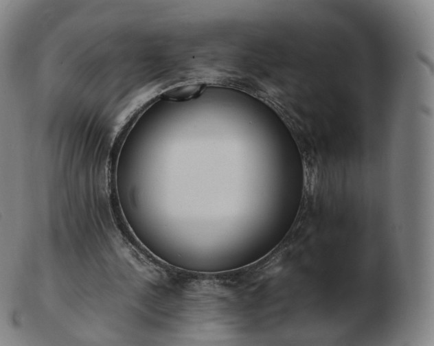 X0000103450244200809191755