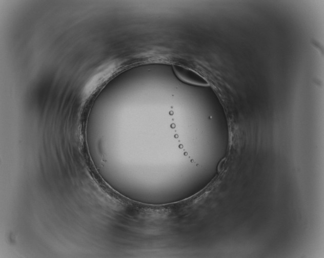 X0000103450245200809191755