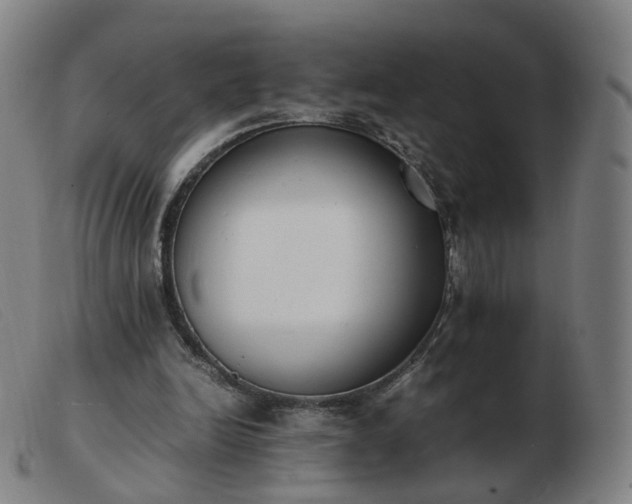 X0000103450246200809191755