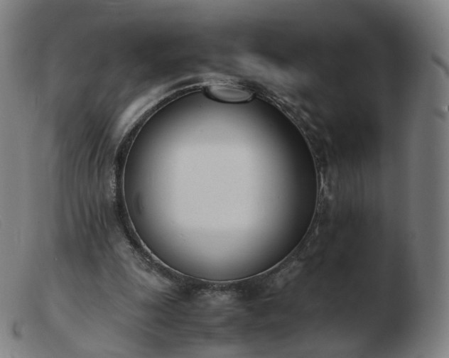 X0000103450247200809191755