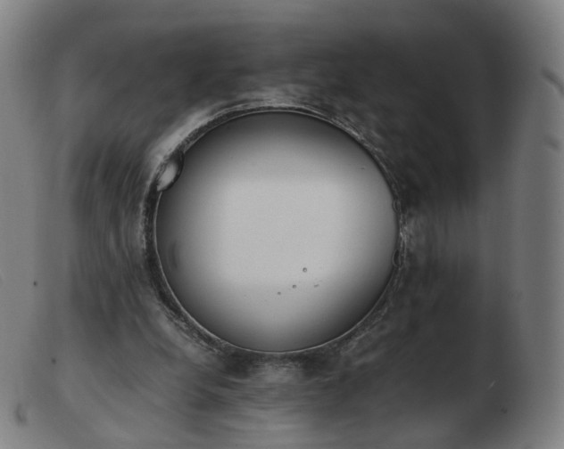 X0000103450248200809191755