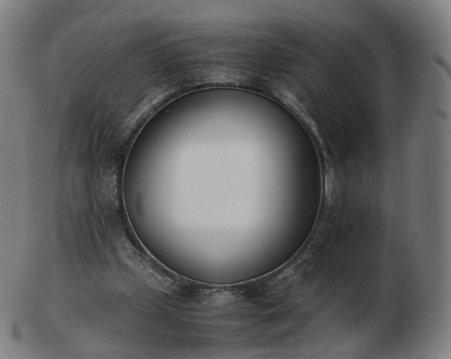 X0000103450249200809191755