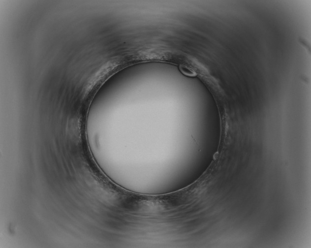 X0000103450250200809191755