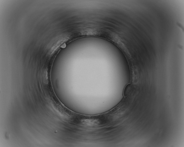 X0000103450251200809191755