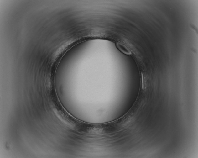 X0000103450252200809191755