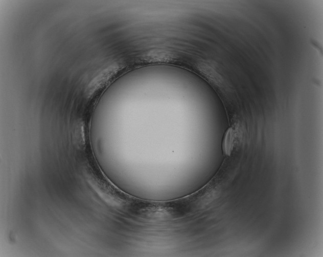 X0000103450254200809191755