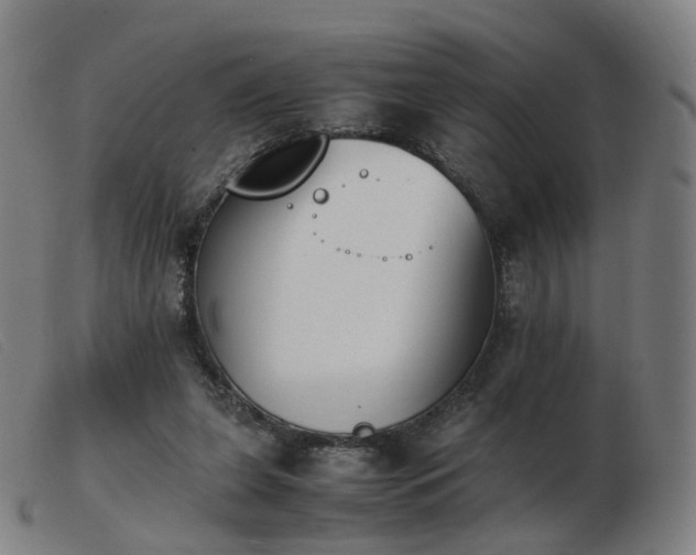 X0000103450255200809191755