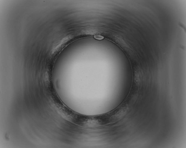 X0000103450256200809191755