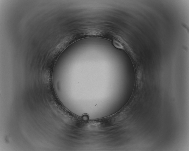 X0000103450257200809191755