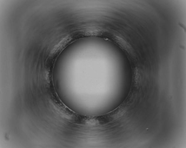 X0000103450258200809191755