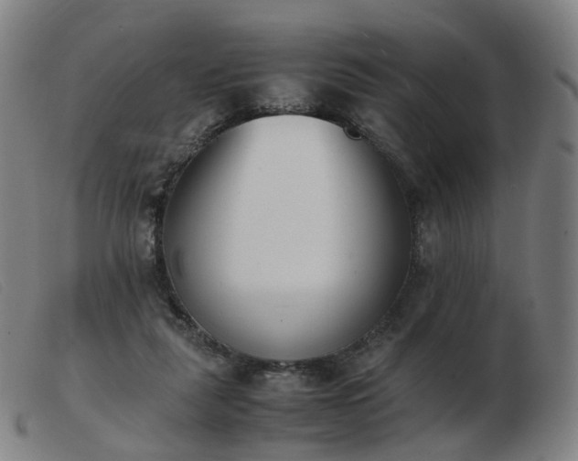 X0000103450259200809191755