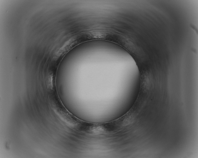 X0000103450262200809191755