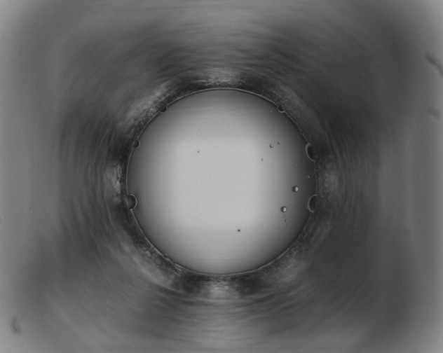 X0000103450264200809191755