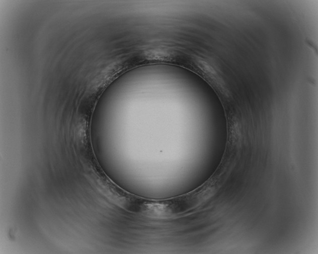 X0000103450265200809191755