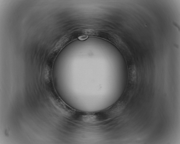 X0000103450266200809191755
