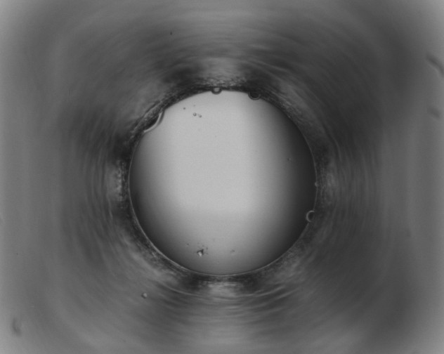 X0000103450268200809191755