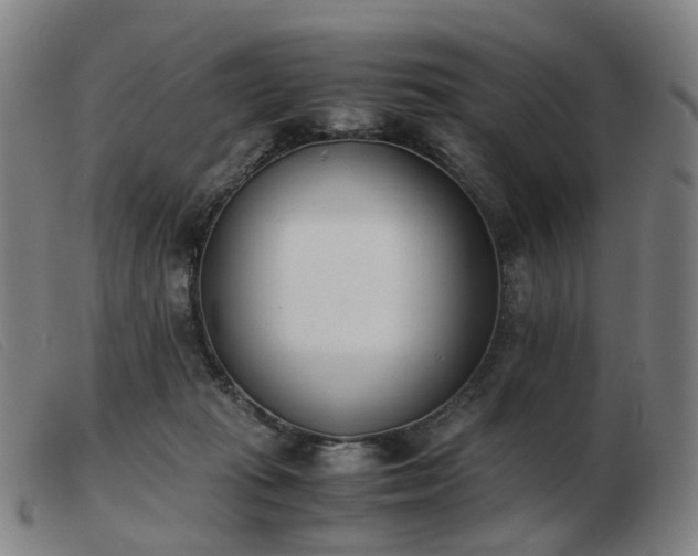 X0000103450269200809191755