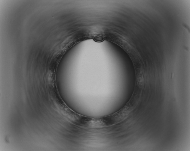 X0000103450270200809191755