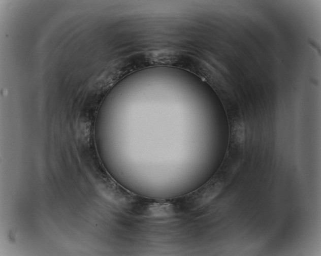 X0000103450271200809191755