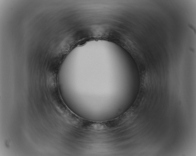 X0000103450272200809191755