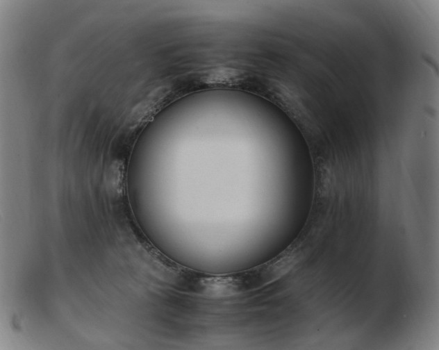 X0000103450273200809191755