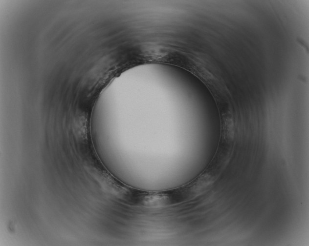 X0000103450274200809191755