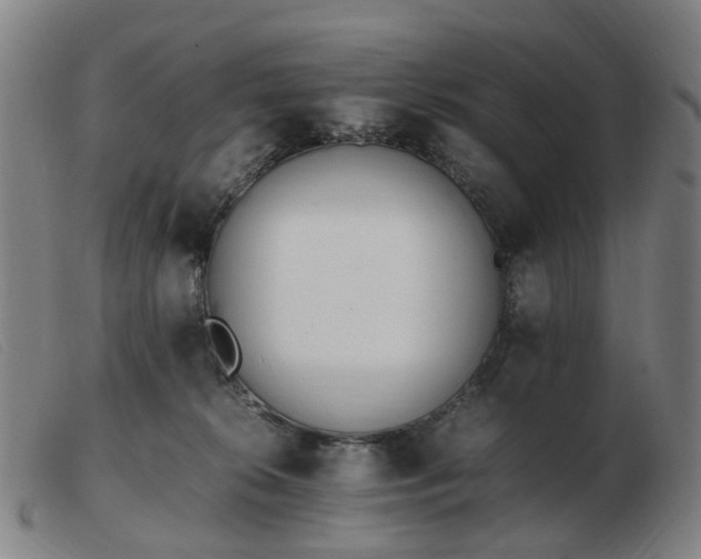 X0000103450276200809191755