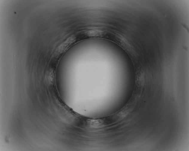 X0000103450277200809191755