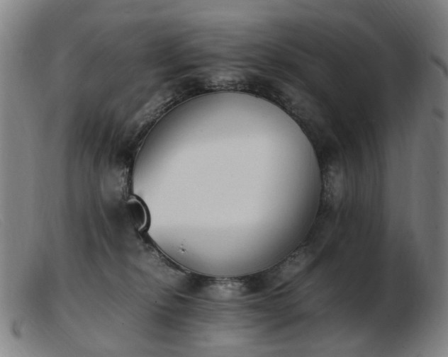 X0000103450278200809191755