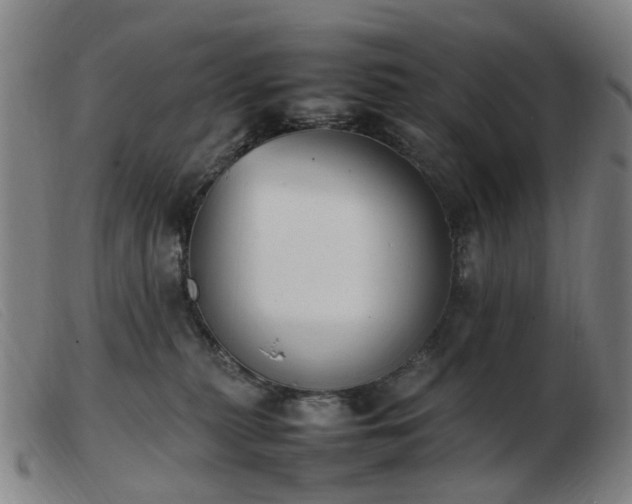 X0000103450279200809191755