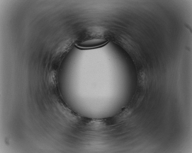 X0000103450280200809191755