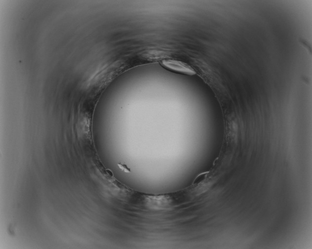 X0000103450281200809191755